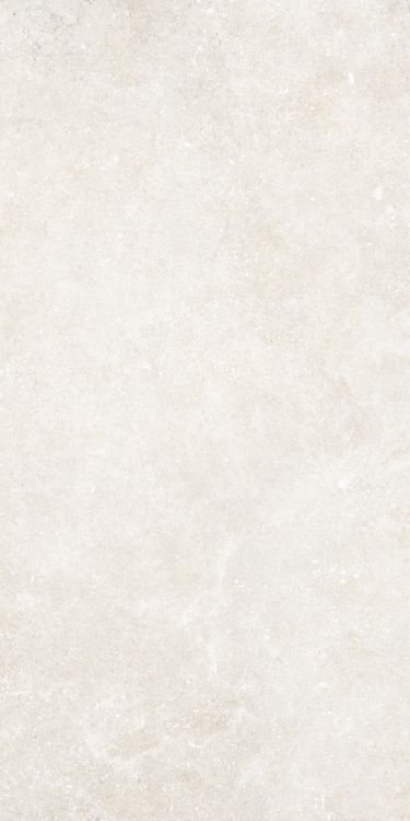 Untamed Wander White 24 x 48